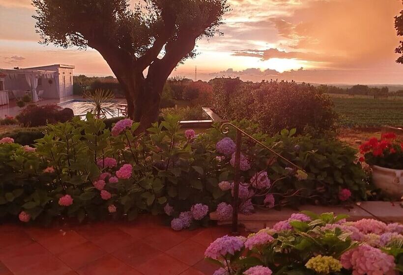 膳宿费 Villa Anamarija