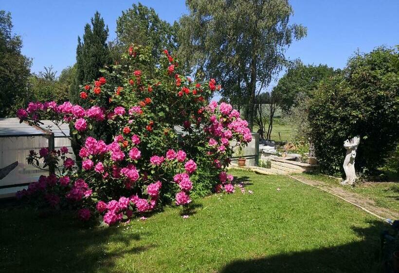 Aamiaismajoitus (B&B) Au Jardin Fleuri