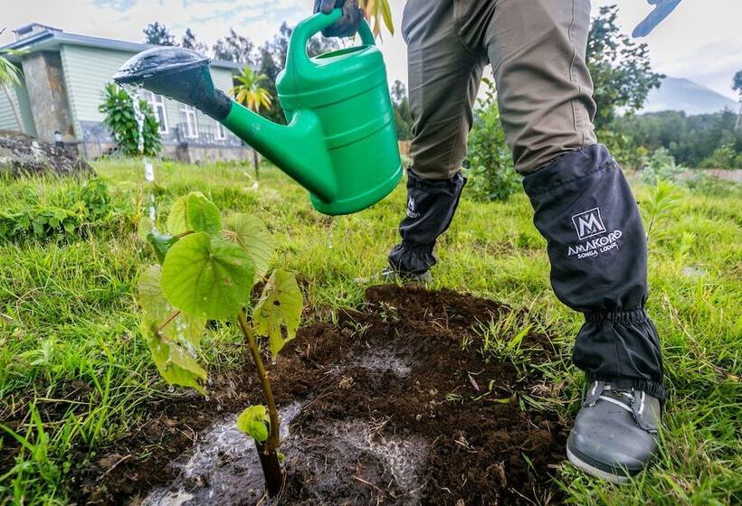 هتل Amakoro Songa Lodge