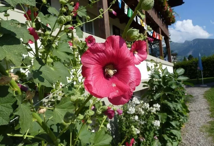 Pension Restaurant Sunnmatt