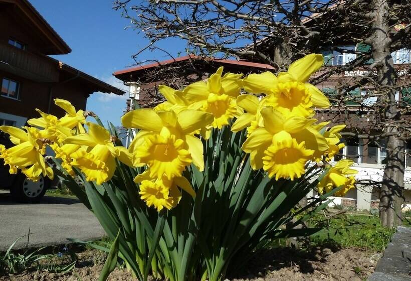 膳宿费 Restaurant Sunnmatt