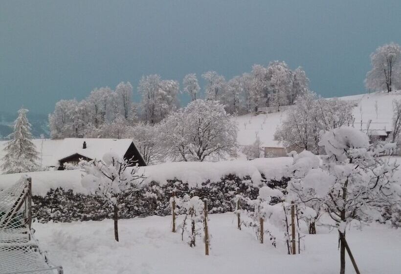 膳宿费 Restaurant Sunnmatt