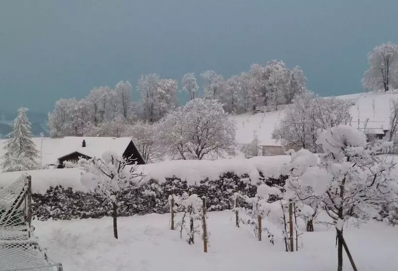 Pension Restaurant Sunnmatt