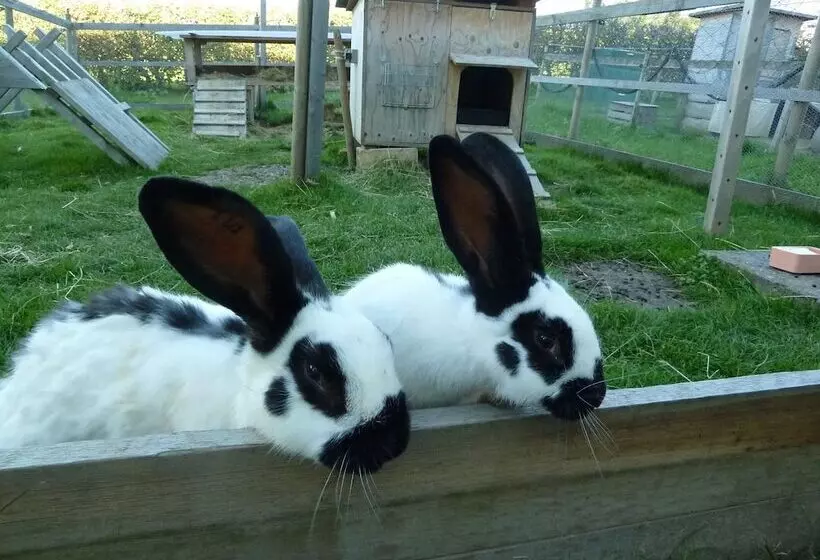 Pension Restaurant Sunnmatt