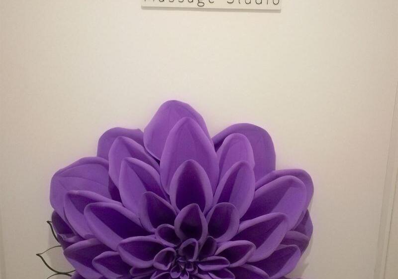 Sol Caribe Suites Deluxe Beach Club And Pool