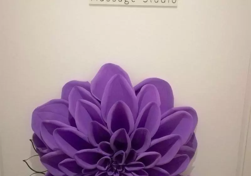 Sol Caribe Suites Deluxe Beach Club And Pool