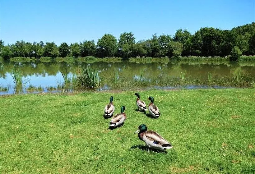 ホテル Camping Campilo