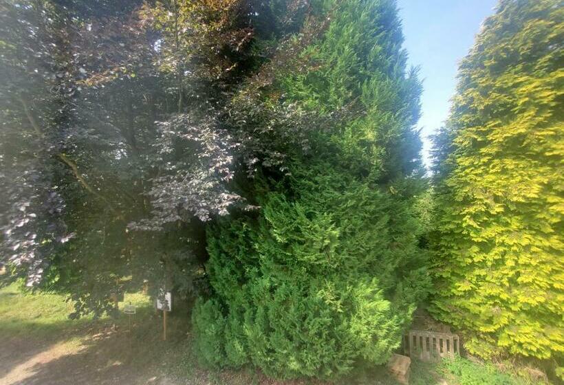 Пансион Camden House