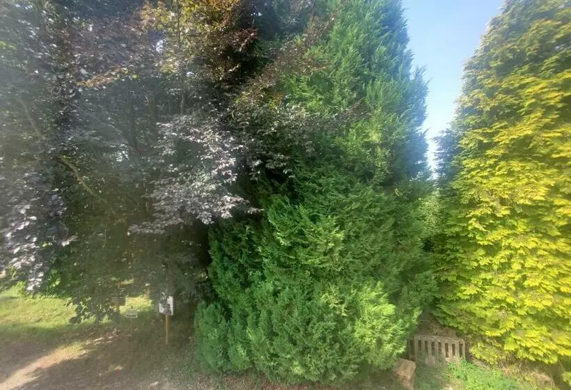 Majatalo Camden House