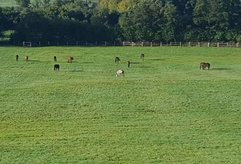 Majatalo Camden House