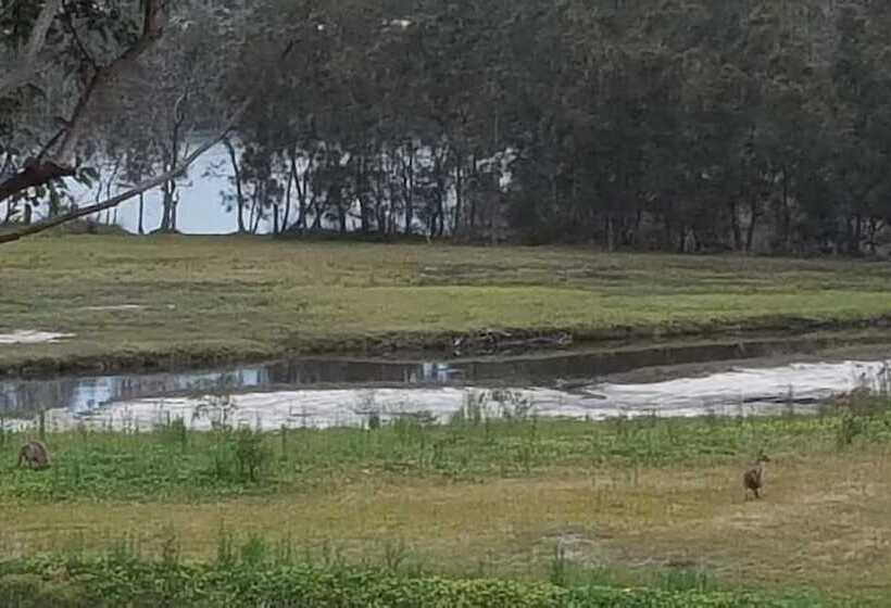 Tabourie Lake Motel