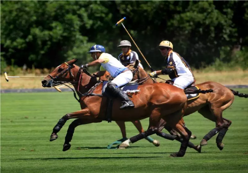 Hotelli Hurlingham Club