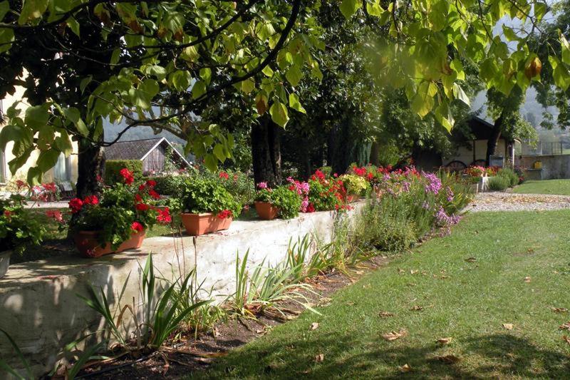 פנסיון Chateau Du Donjon