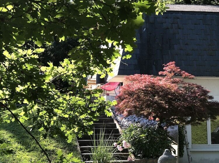 بنسيون Halte à Reyrieux