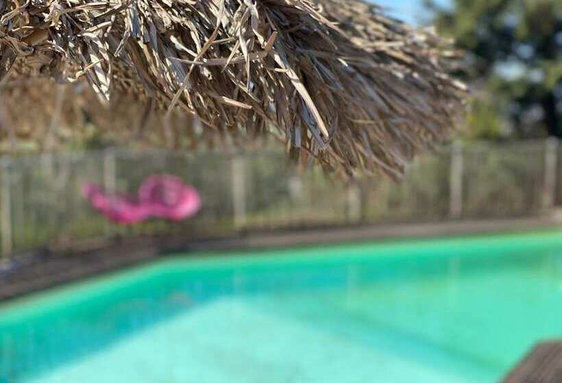 بنسيون Halte à Reyrieux