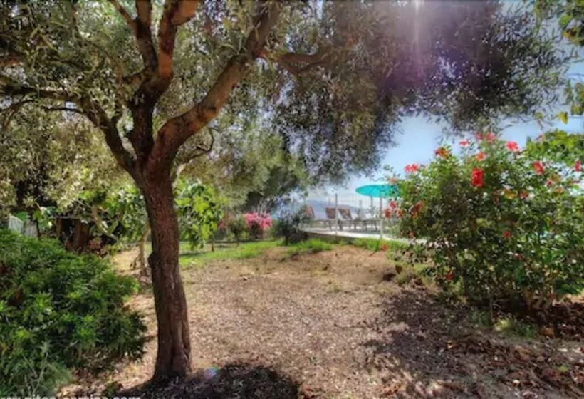 بنسيون Casa Nova Maison D Hôtes