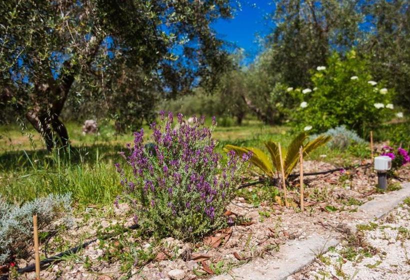 Aamiaismajoitus (B&B) Agriturismo Biologico Piccapane