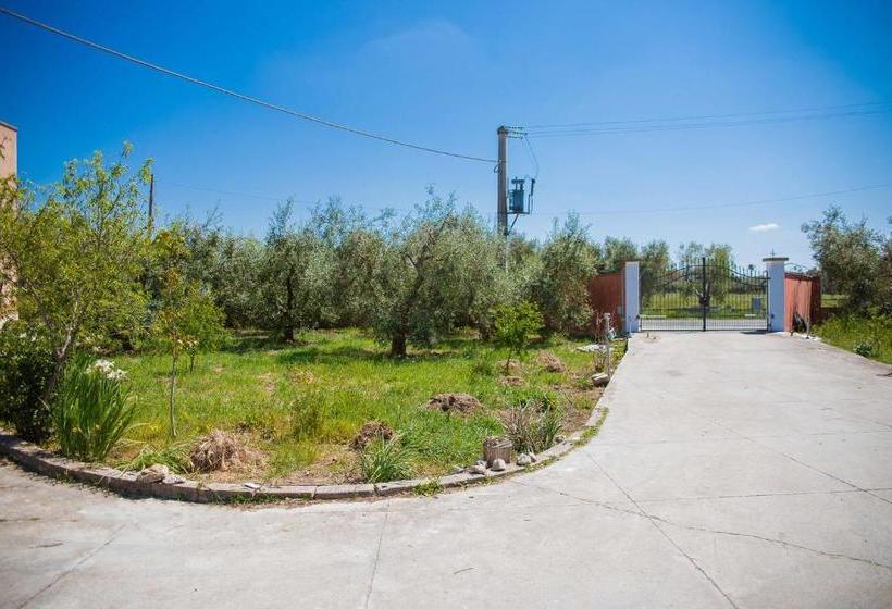 Aamiaismajoitus (B&B) Agriturismo Biologico Piccapane