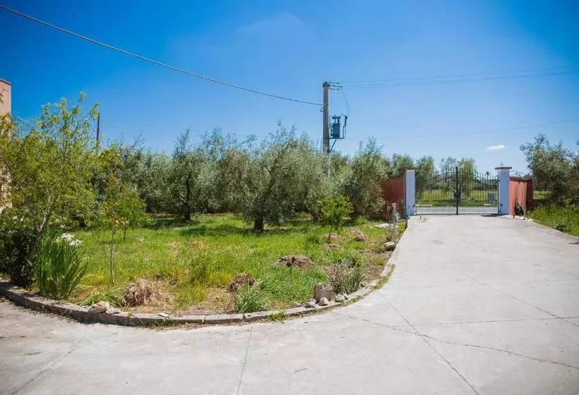 ベッドアンドブレックファースト Agriturismo Biologico Piccapane