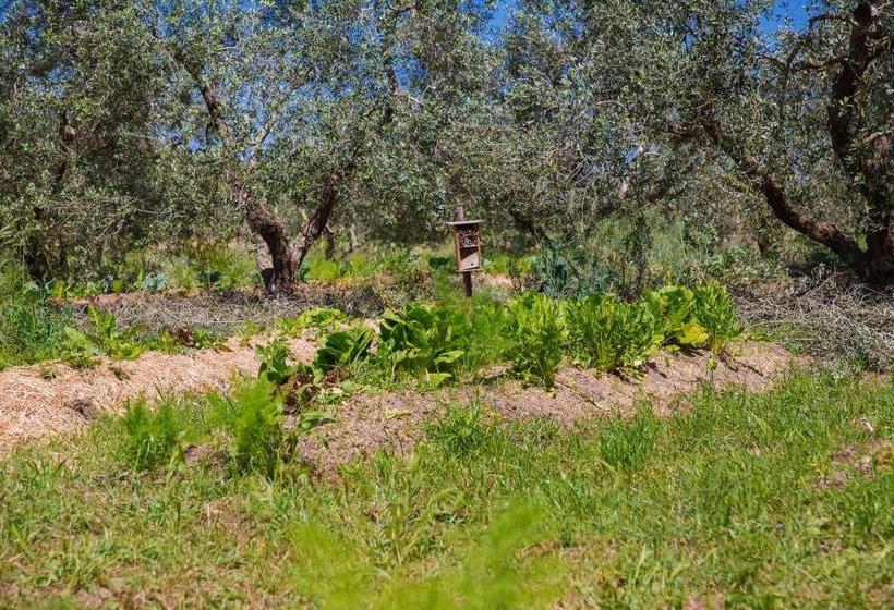 Aamiaismajoitus (B&B) Agriturismo Biologico Piccapane