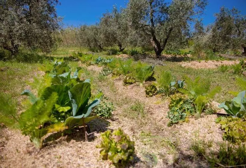 ベッドアンドブレックファースト Agriturismo Biologico Piccapane