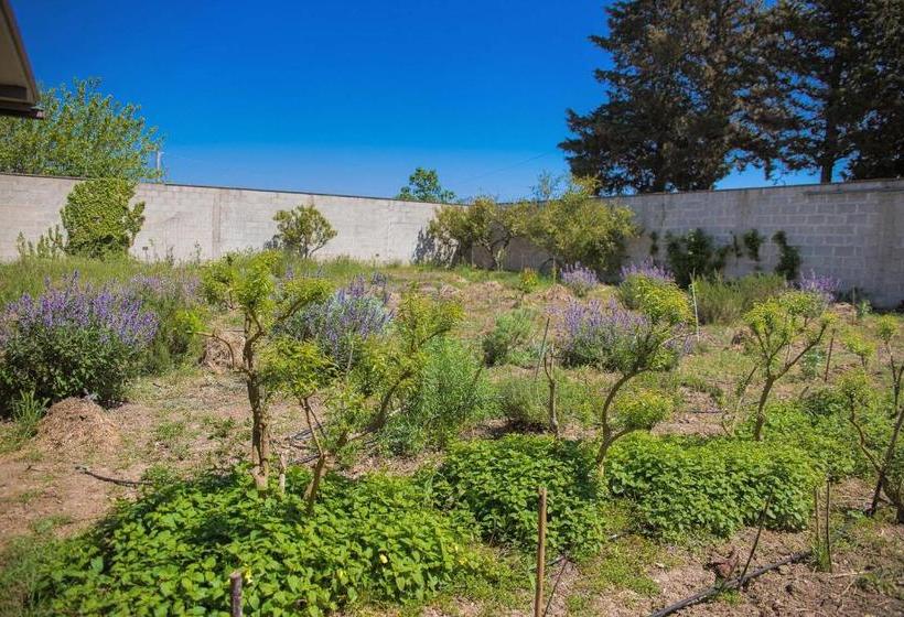 Aamiaismajoitus (B&B) Agriturismo Biologico Piccapane