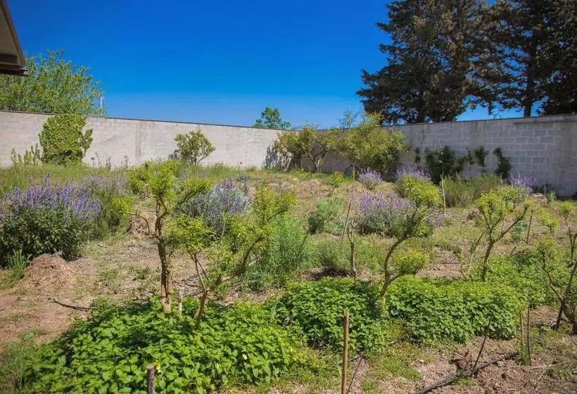 ベッドアンドブレックファースト Agriturismo Biologico Piccapane