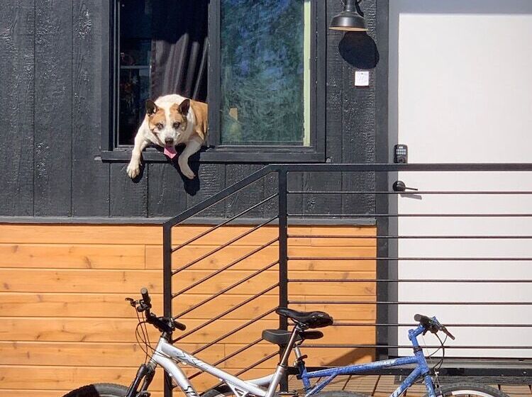 فندق على الطريق Outdoors Inn