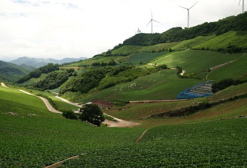 Bluemoon Guest House   Hostel