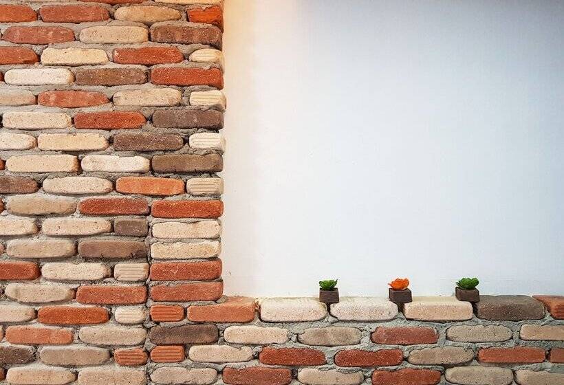 Bluemoon Guest House   Hostel