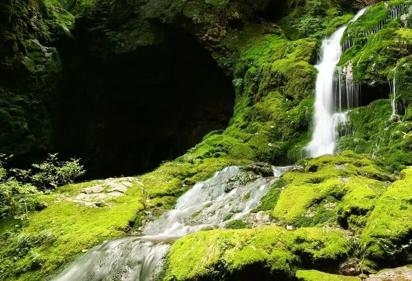 Bluemoon Guest House   Hostel