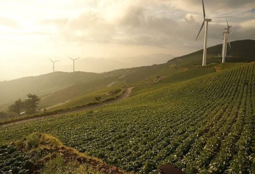 Bluemoon Guest House   Hostel