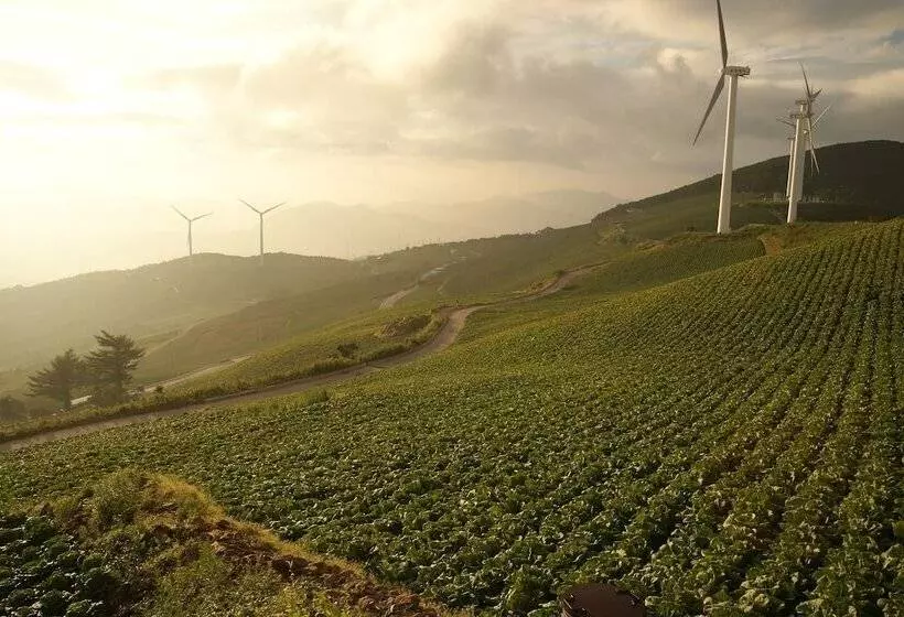 Bluemoon Guest House   Hostel