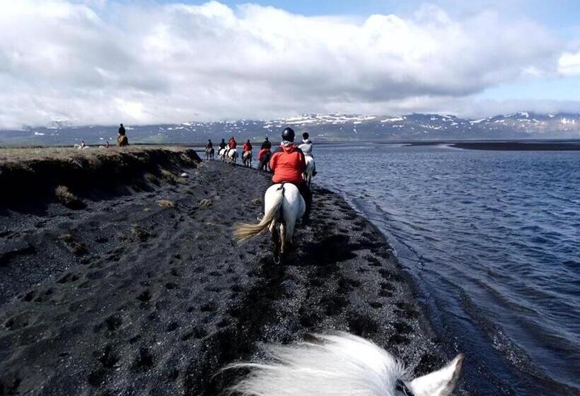 Húsey Hostel & Horsefarm