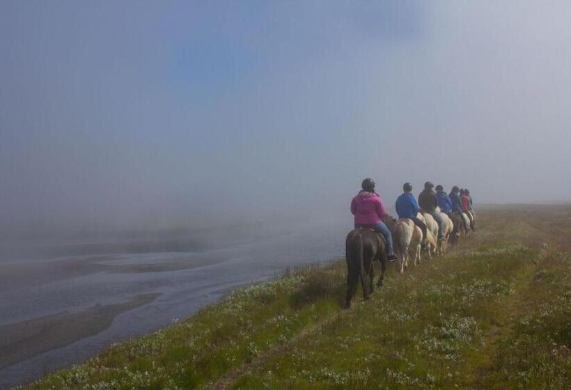 Húsey Hostel & Horsefarm