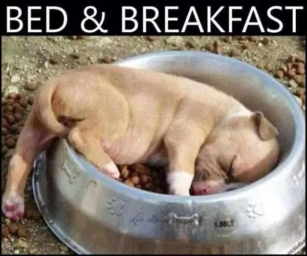 ペンション Skogsbrynet B&b, Bredsjö Nya Herrgård