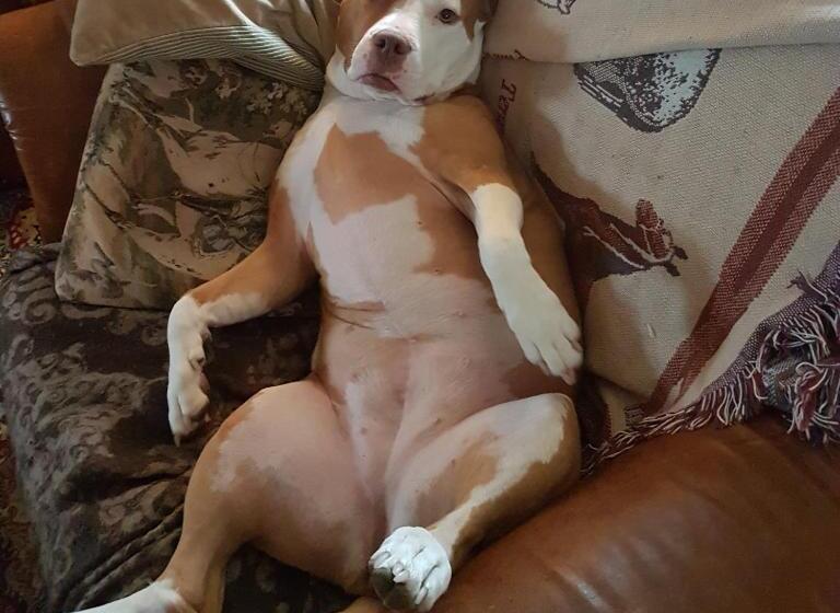 פנסיון Skogsbrynet B&b, Bredsjö Nya Herrgård