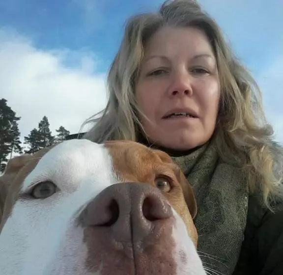 ペンション Skogsbrynet B&b, Bredsjö Nya Herrgård