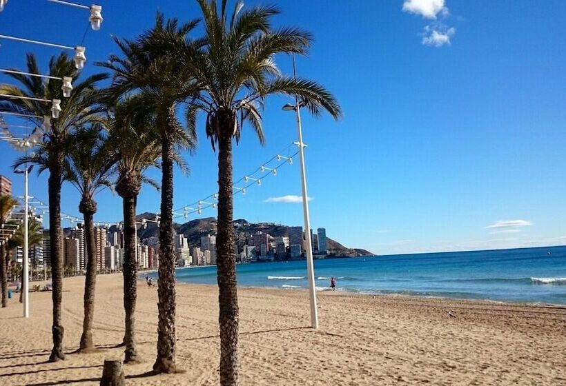 Karola   Fincas Arena