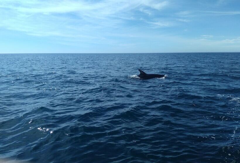 إقامة Albufeira Beach Hotel By Kavia