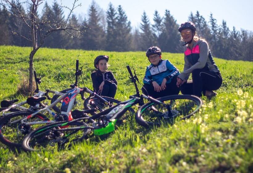 호텔 Burg Altpernstein