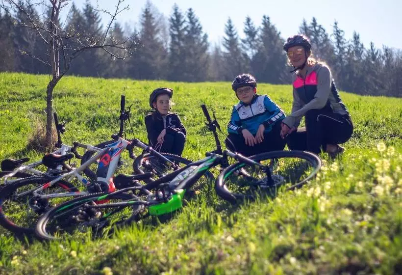 Hotelli Burg Altpernstein