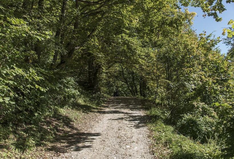 호텔 Burg Altpernstein