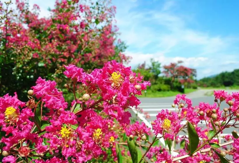 Hotelli Kajitsu No Mori