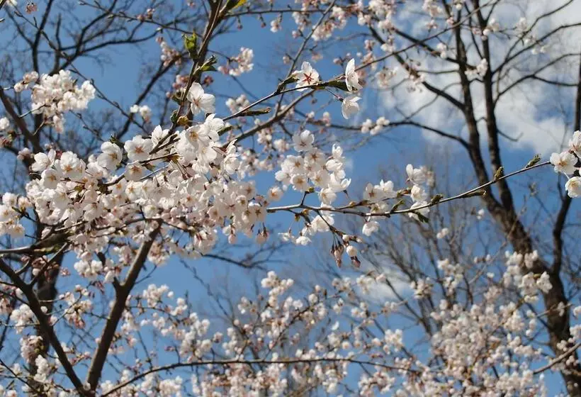 Hotelli Kajitsu No Mori