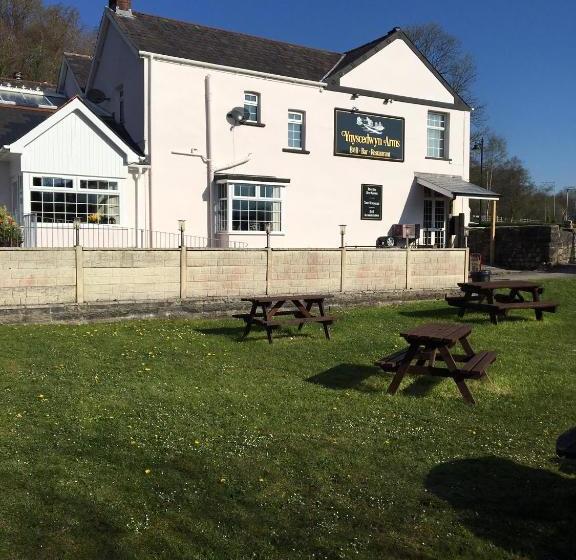 Hotel The Ynyscedwyn Arms