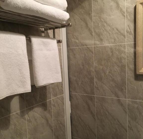 Hotel The Ynyscedwyn Arms