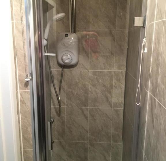 Hotel The Ynyscedwyn Arms