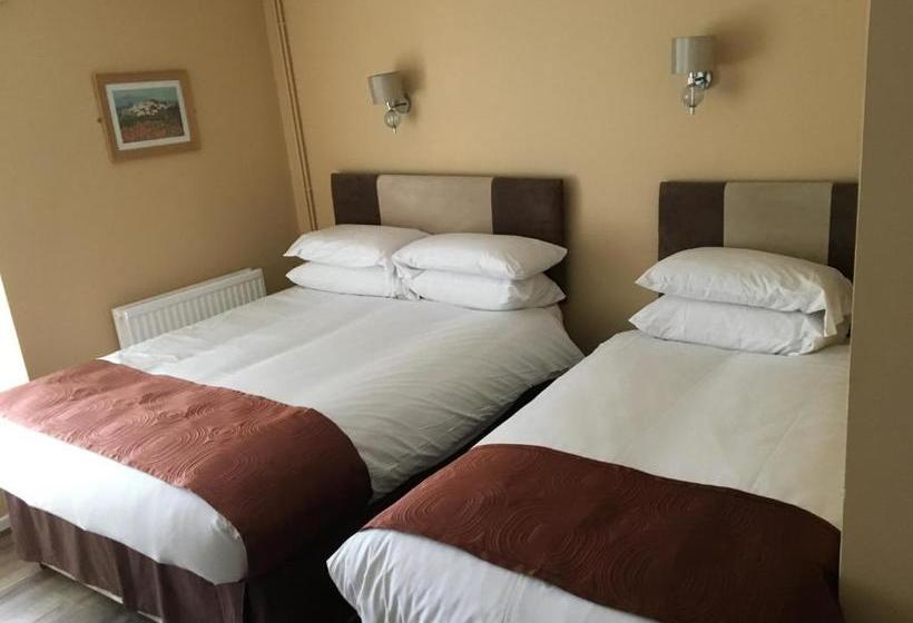 Hotel The Ynyscedwyn Arms