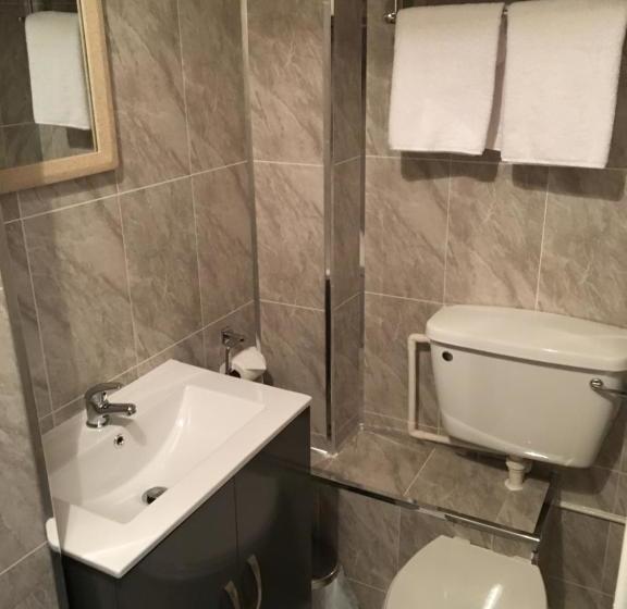 Hotel The Ynyscedwyn Arms